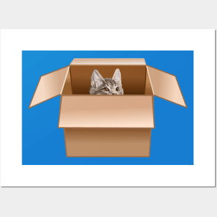 Tabby Kitten Peeking from Cardboard Box Posters and Art